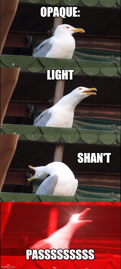 Inhaling Seagull | OPAQUE:; LIGHT; SHAN'T; PASSSSSSSSS | image tagged in memes,inhaling seagull | made w/ Imgflip meme maker