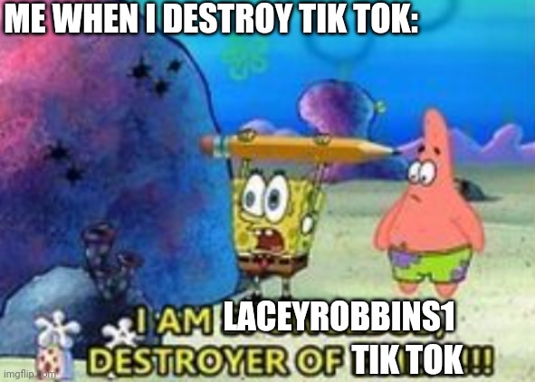 Destroyer of evil | ME WHEN I DESTROY TIK TOK:; LACEYROBBINS1; TIK TOK | image tagged in destroyer of evil | made w/ Imgflip meme maker