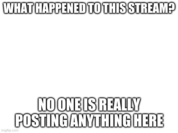 Blank White Template | WHAT HAPPENED TO THIS STREAM? NO ONE IS REALLY POSTING ANYTHING HERE | image tagged in blank white template | made w/ Imgflip meme maker