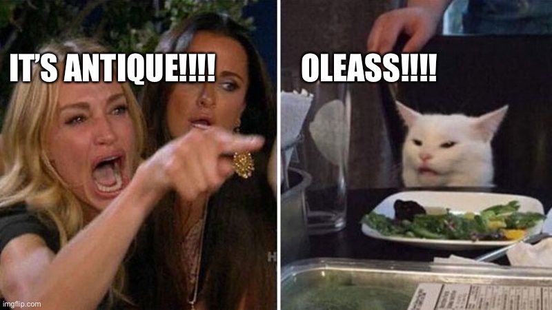 Karen vs Table Cat | IT’S ANTIQUE!!!!              OLEASS!!!! | image tagged in karen vs table cat | made w/ Imgflip meme maker