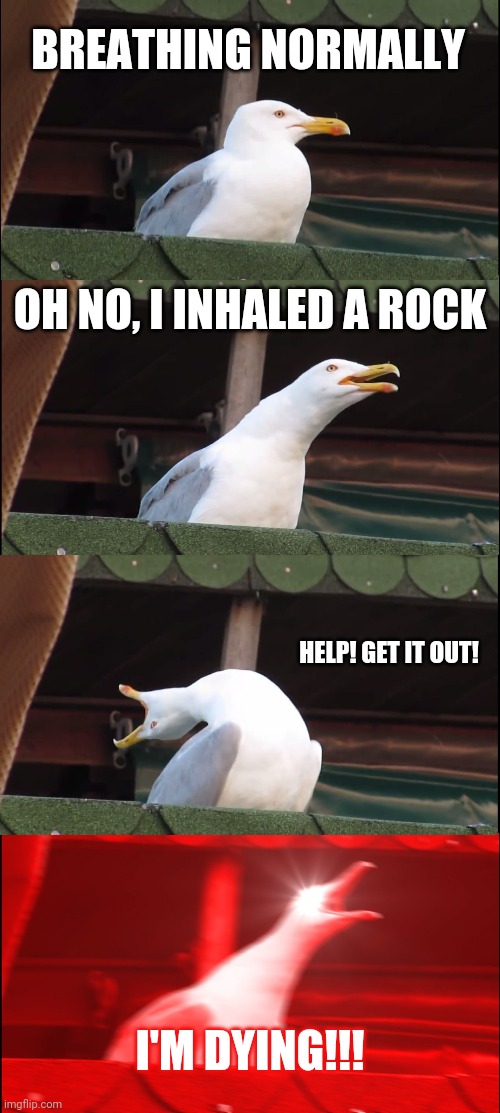 Inhaling Seagull | BREATHING NORMALLY; OH NO, I INHALED A ROCK; HELP! GET IT OUT! I'M DYING!!! | image tagged in memes,inhaling seagull | made w/ Imgflip meme maker