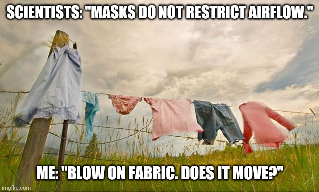 Believe No One | SCIENTISTS: "MASKS DO NOT RESTRICT AIRFLOW."; ME: "BLOW ON FABRIC. DOES IT MOVE?" | image tagged in scientists,masks | made w/ Imgflip meme maker