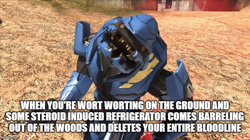 Elite |  WHEN YOU'RE WORT WORTING ON THE GROUND AND SOME STEROID INDUCED REFRIGERATOR COMES BARRELING OUT OF THE WOODS AND DELETES YOUR ENTIRE BLOODLINE | image tagged in elite,funny | made w/ Imgflip meme maker