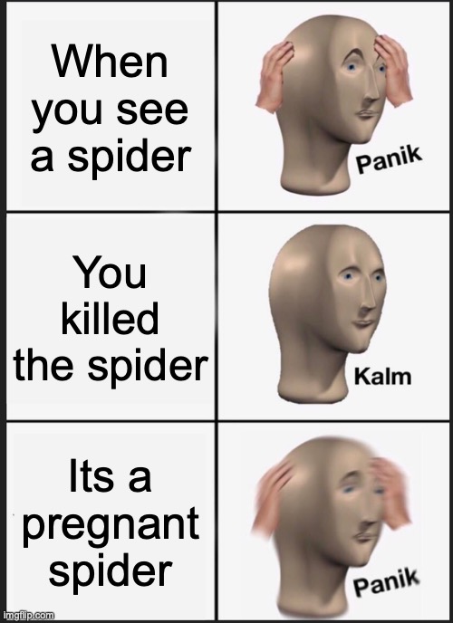 Panik Kalm Panik | When you see a spider; You killed the spider; Its a pregnant spider | image tagged in memes,panik kalm panik | made w/ Imgflip meme maker