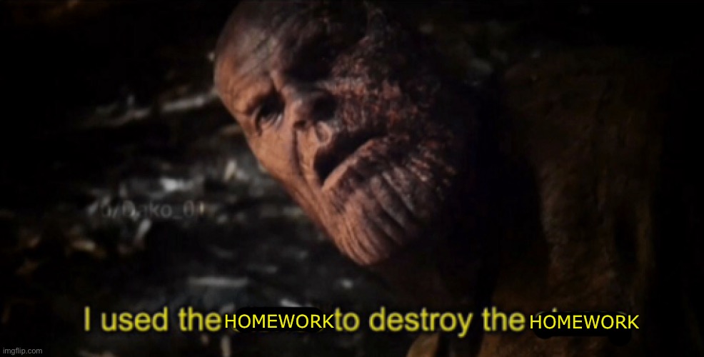 I used the stones to destroy the stones | HOMEWORK HOMEWORK | image tagged in i used the stones to destroy the stones | made w/ Imgflip meme maker