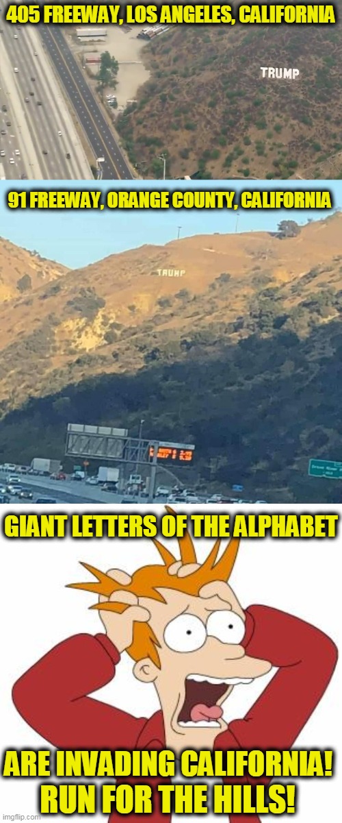 405 FREEWAY, LOS ANGELES, CALIFORNIA; 91 FREEWAY, ORANGE COUNTY, CALIFORNIA; GIANT LETTERS OF THE ALPHABET; ARE INVADING CALIFORNIA! RUN FOR THE HILLS! | image tagged in fry freaking out | made w/ Imgflip meme maker