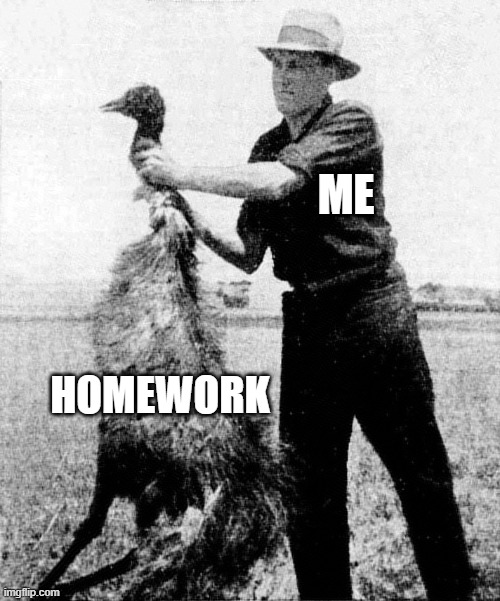 Great emu war | ME; HOMEWORK | image tagged in great emu war | made w/ Imgflip meme maker