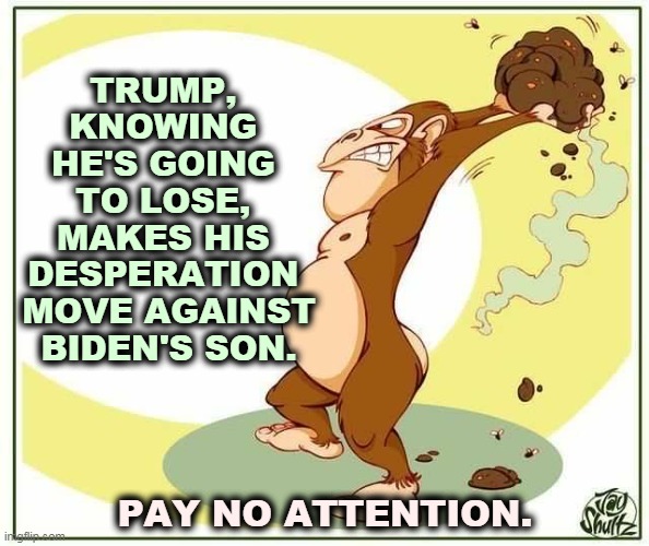 Trump speaking the only language he knows. | TRUMP, 
KNOWING 
HE'S GOING 
TO LOSE, 
MAKES HIS 
DESPERATION 
MOVE AGAINST
BIDEN'S SON. PAY NO ATTENTION. | image tagged in monkey poo,trump,rant,garbage | made w/ Imgflip meme maker