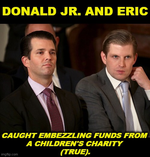 Do you really want to talk about candidates' children? | DONALD JR. AND ERIC; CAUGHT EMBEZZLING FUNDS FROM 
A CHILDREN'S CHARITY 
(TRUE). | image tagged in donald jr and eric trump,steal,money,charity,children | made w/ Imgflip meme maker