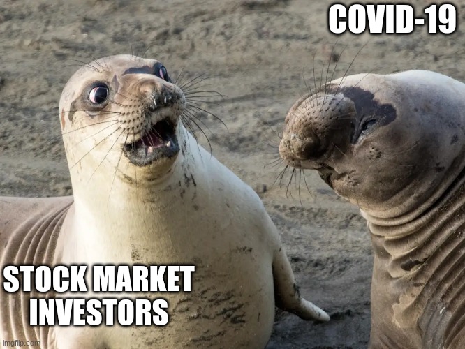 WHAT | COVID-19; STOCK MARKET INVESTORS | image tagged in what | made w/ Imgflip meme maker