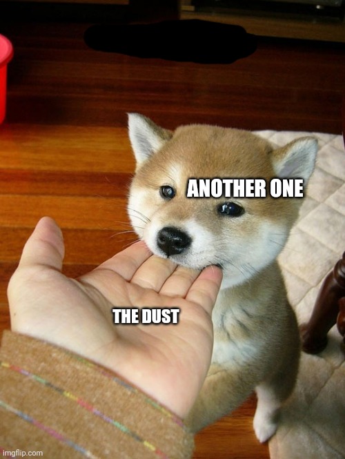 ANOTHER ONE; THE DUST | image tagged in another one bites the dust | made w/ Imgflip meme maker
