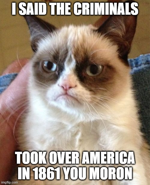 Criminals Take Over America 1861 | I SAID THE CRIMINALS; TOOK OVER AMERICA IN 1861 YOU MORON | image tagged in memes,grumpy cat | made w/ Imgflip meme maker