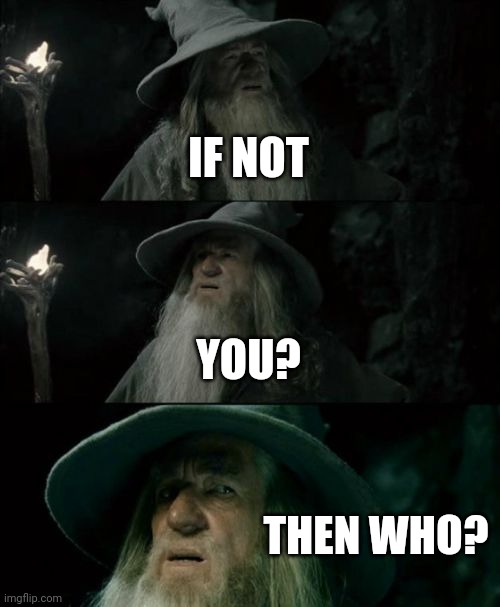 Confused Gandalf Meme | IF NOT YOU? THEN WHO? | image tagged in memes,confused gandalf | made w/ Imgflip meme maker