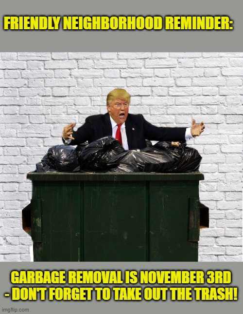 VOTE | FRIENDLY NEIGHBORHOOD REMINDER:; GARBAGE REMOVAL IS NOVEMBER 3RD - DON'T FORGET TO TAKE OUT THE TRASH! | image tagged in trump is a moron,donald trump is an idiot,garbage dump,election 2020 | made w/ Imgflip meme maker
