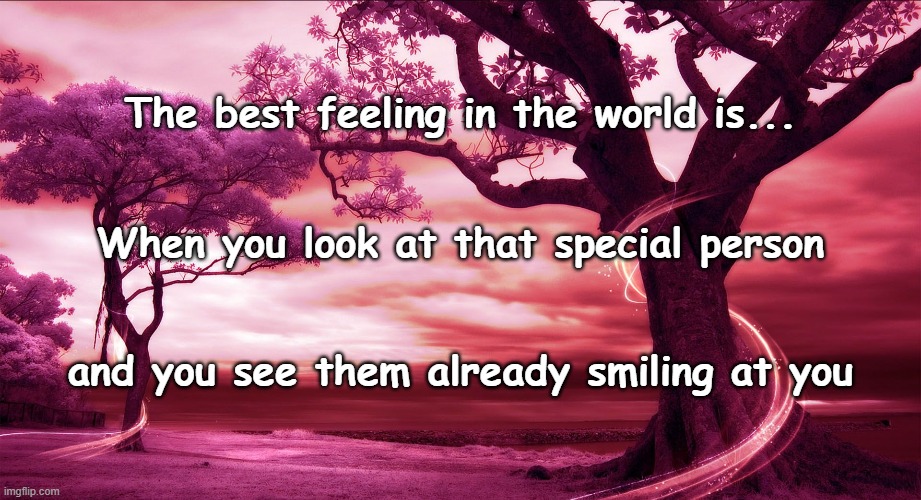 The best feeling in the world is... When you look at that special person; and you see them already smiling at you | image tagged in heartfelt,wise,heart touching | made w/ Imgflip meme maker