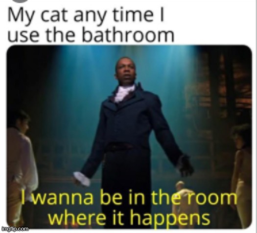 PRIVACY | image tagged in hamilton,bathroom | made w/ Imgflip meme maker