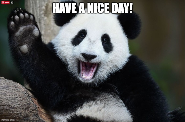 nice day panda | HAVE A NICE DAY! | image tagged in have a nice day | made w/ Imgflip meme maker