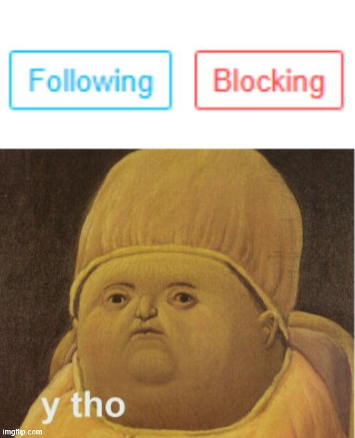 there's a user that i follow AND block XD | image tagged in y tho baby | made w/ Imgflip meme maker