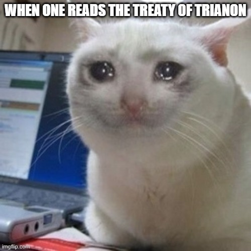 Crying cat | WHEN ONE READS THE TREATY OF TRIANON | image tagged in crying cat,memes,cats,meme,funny,ww1 | made w/ Imgflip meme maker