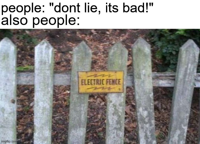 that fence though | people: "dont lie, its bad!"; also people: | image tagged in electric fence | made w/ Imgflip meme maker