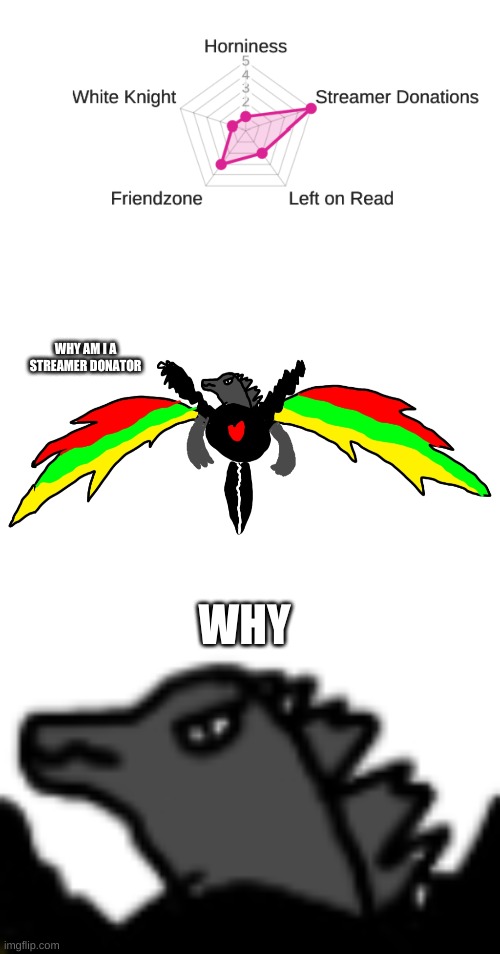 WHY AM I A STREAMER DONATOR; WHY | made w/ Imgflip meme maker