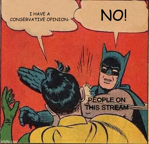 Honestly its impossible to have an opinion here | I HAVE A CONSERVATIVE OPINION-; NO! PEOPLE ON THIS STREAM | image tagged in memes,batman slapping robin,this stream kinda one-sided ngl | made w/ Imgflip meme maker