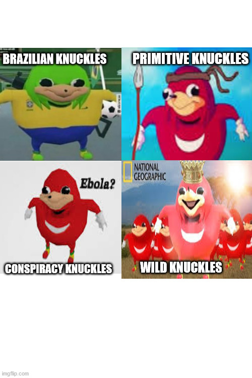 Blank White Template | PRIMITIVE KNUCKLES; BRAZILIAN KNUCKLES; CONSPIRACY KNUCKLES; WILD KNUCKLES | image tagged in blank white template,ugandan knuckles | made w/ Imgflip meme maker