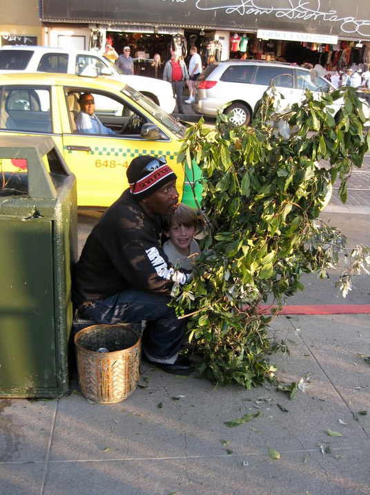 Bush Man Blank Meme Template