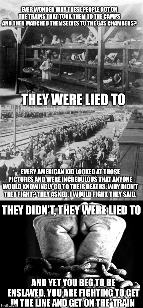 The big liars, question those who hold the real reigns of power And resist . Those who want your voice silenced and censored are | EVER WONDER WHY THESE PEOPLE GOT ON THE TRAINS THAT TOOK THEM TO THE CAMPS AND THEN MARCHED THEMSELVES TO THE GAS CHAMBERS? THEY WERE LIED TO; EVERY AMERICAN KID LOOKED AT THOSE PICTURES AND WERE INCREDULOUS THAT ANYONE WOULD KNOWINGLY GO TO THEIR DEATHS. WHY DIDN’T THEY FIGHT? THEY ASKED. I WOULD FIGHT, THEY SAID. THEY DIDN’T, THEY WERE LIED TO; AND YET YOU BEG TO BE ENSLAVED, YOU ARE FIGHTING TO GET IN THE LINE AND GET ON THE  TRAIN | image tagged in angry sjw,sjw,woke,liberals,communist socialist,tyranny | made w/ Imgflip meme maker