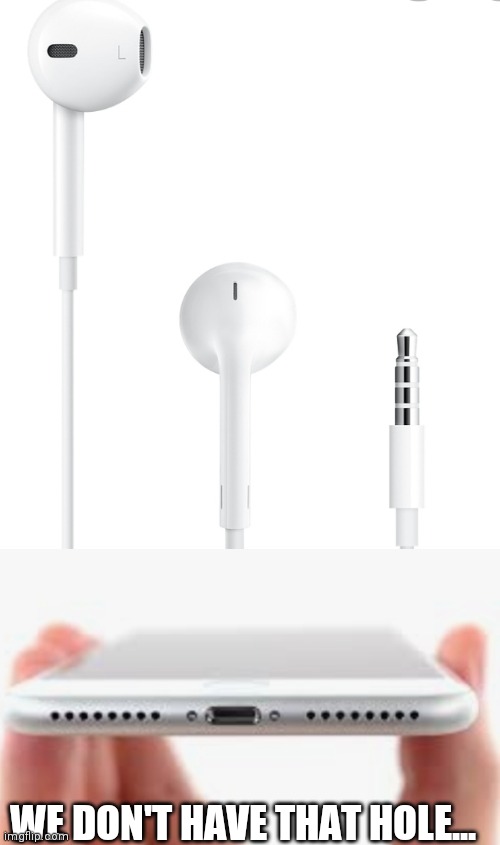 please no | WE DON'T HAVE THAT HOLE... | image tagged in apple inc,airpods | made w/ Imgflip meme maker