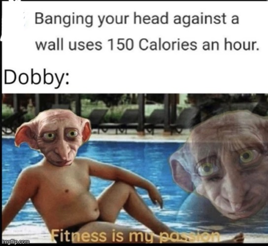 Dobby is stronk | image tagged in funny,memes,harry potter,dobby | made w/ Imgflip meme maker