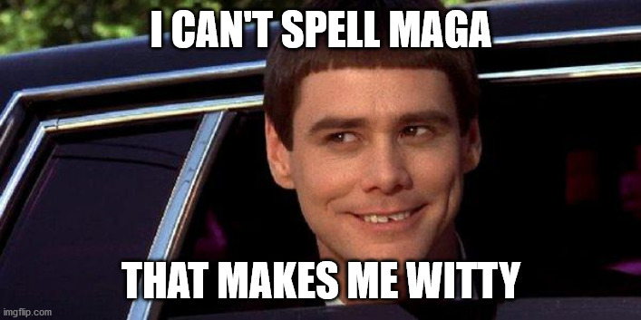 dumb and dumber | I CAN'T SPELL MAGA THAT MAKES ME WITTY | image tagged in dumb and dumber | made w/ Imgflip meme maker