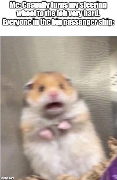 Scared hamster | Me: Casually turns my steering wheel to the left very hard.
Everyone in the big passanger ship: | image tagged in scared hamster | made w/ Imgflip meme maker