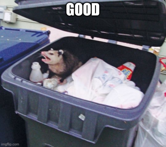 Trash Possum | GOOD | image tagged in trash possum | made w/ Imgflip meme maker