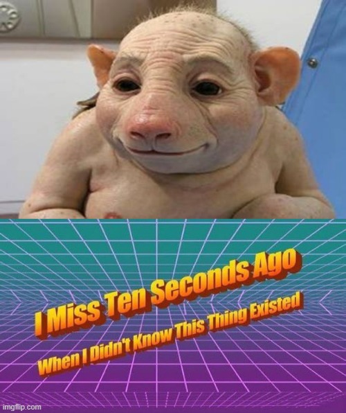 i hope i didn't ruin your lunch | image tagged in i miss ten seconds ago,nsfw,ugh,memes | made w/ Imgflip meme maker