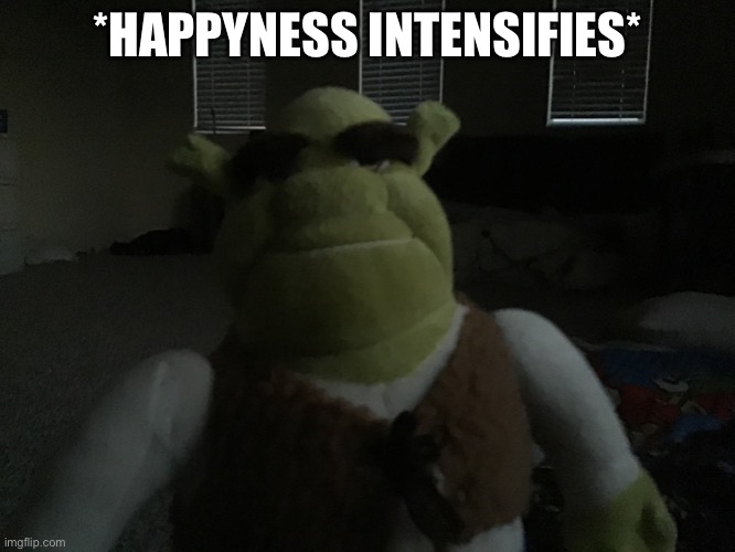 *HAPPYNESS INTENSIFIES* | made w/ Imgflip meme maker