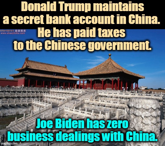 Trump pays taxes in China, but not to our government. |  Donald Trump maintains a secret bank account in China. 
He has paid taxes 
to the Chinese government. Joe Biden has zero business dealings with China. | image tagged in trump,china,business,bank account,taxes | made w/ Imgflip meme maker