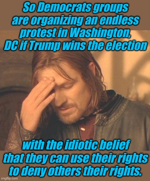 Whatever happened to the right to life, liberty and the pursuit of happiness? The Democrat party of abortion, regulation and.... | So Democrats groups are organizing an endless protest in Washington, DC if Trump wins the election; with the idiotic belief that they can use their rights to deny others their rights. | image tagged in memes,frustrated boromir | made w/ Imgflip meme maker