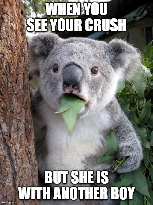 open mouth | WHEN YOU SEE YOUR CRUSH; BUT SHE IS WITH ANOTHER BOY | image tagged in memes,surprised koala | made w/ Imgflip meme maker