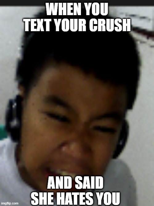 the crying human | WHEN YOU TEXT YOUR CRUSH; AND SAID SHE HATES YOU | image tagged in crying | made w/ Imgflip meme maker