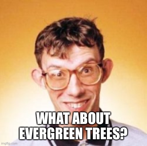 WHAT ABOUT EVERGREEN TREES? | made w/ Imgflip meme maker