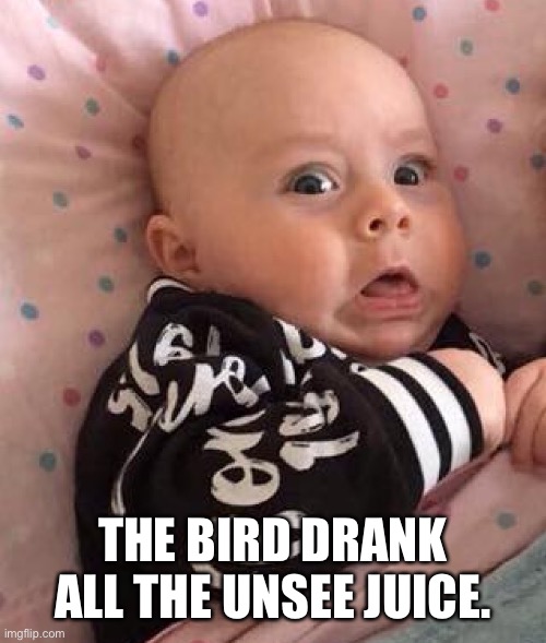Horrified baby | THE BIRD DRANK ALL THE UNSEE JUICE. | image tagged in horrified baby | made w/ Imgflip meme maker