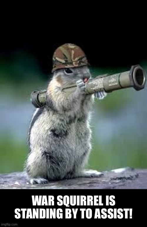 War squirrel | WAR SQUIRREL IS STANDING BY TO ASSIST! | image tagged in war squirrel | made w/ Imgflip meme maker