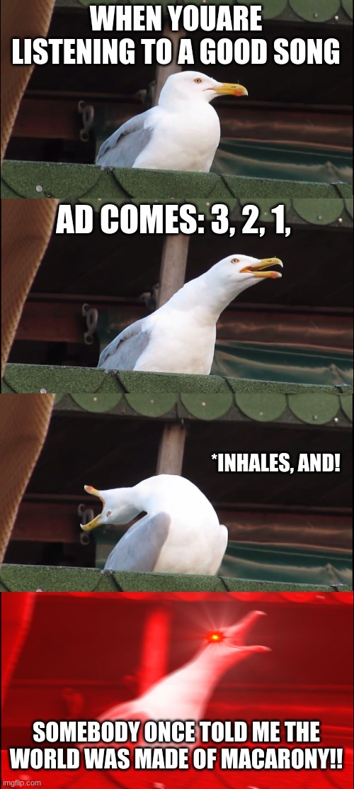 Inhaling Seagull | WHEN YOUARE LISTENING TO A GOOD SONG; AD COMES: 3, 2, 1, *INHALES, AND! SOMEBODY ONCE TOLD ME THE WORLD WAS MADE OF MACARONY!! | image tagged in memes,inhaling seagull | made w/ Imgflip meme maker