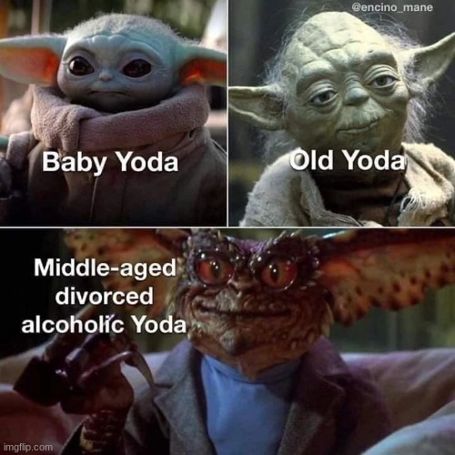 Ahh yes alcoholic yoda | made w/ Imgflip meme maker