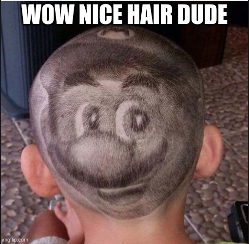 mario haircut | WOW NICE HAIR DUDE | image tagged in haircut | made w/ Imgflip meme maker