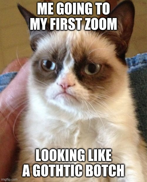 i hadto put 7 laers of make up on this morning T-T | ME GOING TO MY FIRST ZOOM; LOOKING LIKE A GOTHTIC BOTCH | image tagged in memes,grumpy cat | made w/ Imgflip meme maker