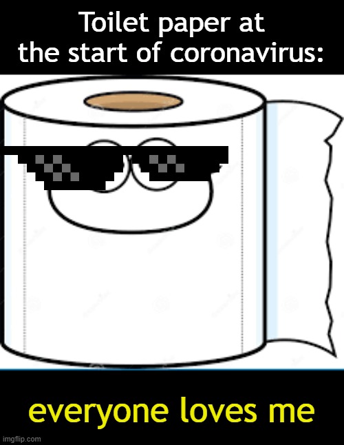 Toilet Paper | Toilet paper at the start of coronavirus:; everyone loves me | image tagged in covid,coronavirus,valuable,funny,meme,pandemic | made w/ Imgflip meme maker