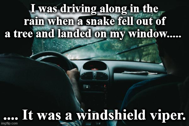 rain | I was driving along in the rain when a snake fell out of a tree and landed on my window..... .... It was a windshield viper. | image tagged in rain | made w/ Imgflip meme maker