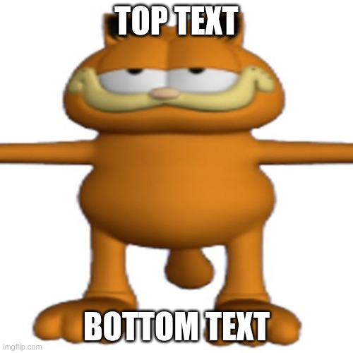 t posing garfeild | TOP TEXT; BOTTOM TEXT | image tagged in t posing garfeild | made w/ Imgflip meme maker